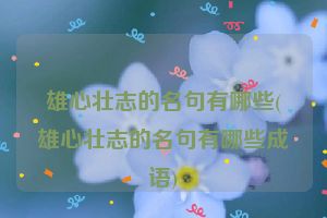 雄心壮志的名句有哪些(雄心壮志的名句有哪些成语)