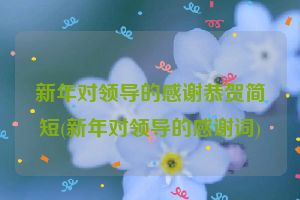 新年对领导的感谢恭贺简短(新年对领导的感谢词)