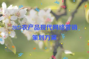 2023农产品现代网络营销策划方案
