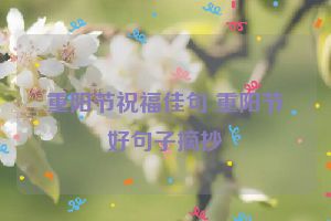 重阳节祝福佳句 重阳节好句子摘抄