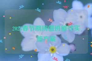 2023春节期间值班留守实施方案