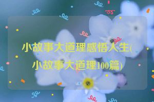 小故事大道理感悟人生(小故事大道理100篇)