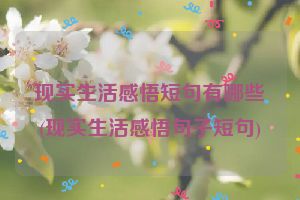 现实生活感悟短句有哪些(现实生活感悟句子短句)