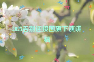 2023告别迎接国旗下演讲稿