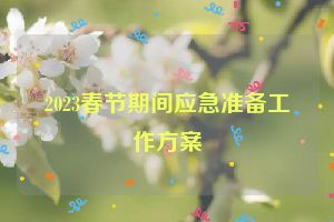 2023春节期间应急准备工作方案