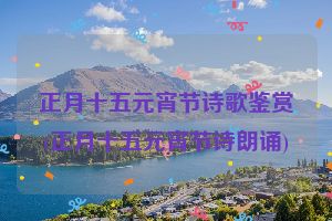 正月十五元宵节诗歌鉴赏(正月十五元宵节诗朗诵)