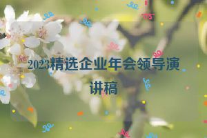 2023精选企业年会领导演讲稿