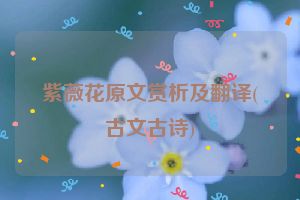 紫薇花原文赏析及翻译(古文古诗)