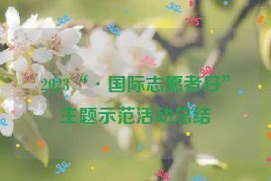 2023“·国际志愿者日”主题示范活动总结