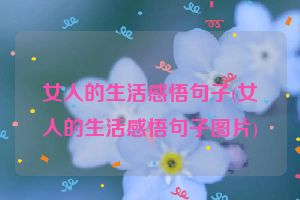 女人的生活感悟句子(女人的生活感悟句子图片)