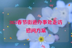 2023春节街道办事处走访慰问方案
