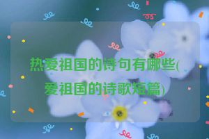 热爱祖国的诗句有哪些(爱祖国的诗歌短篇)