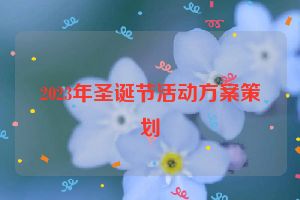 2023年圣诞节活动方案策划