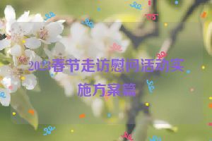 2023春节走访慰问活动实施方案篇