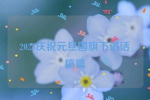 2023庆祝元旦国旗下讲话稿篇