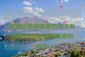 想表达感恩感谢的句子有哪些(表达感恩的感谢的短句)