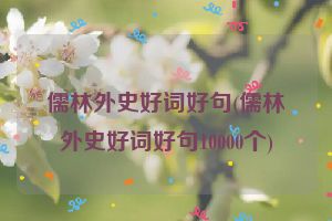 儒林外史好词好句(儒林外史好词好句10000个)