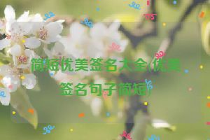 简短优美签名大全(优美签名句子简短)
