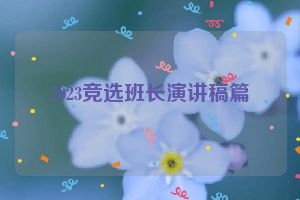2023竞选班长演讲稿篇