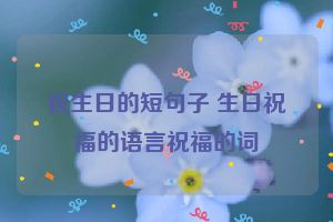 祝生日的短句子 生日祝福的语言祝福的词