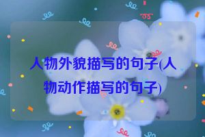 人物外貌描写的句子(人物动作描写的句子)
