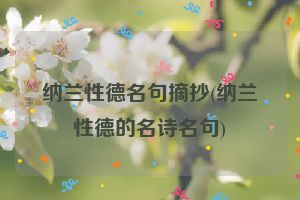 纳兰性德名句摘抄(纳兰性德的名诗名句)