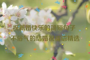 祝新婚快乐的简短句子 不俗气的结婚祝福语精选