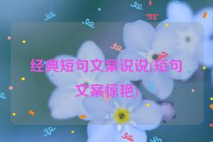 经典短句文案说说(短句文案惊艳)
