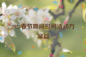 2023春节期间慰问活动方案篇