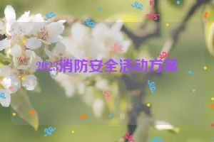 2023消防安全活动方案