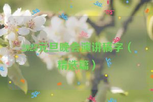 2023元旦晚会演讲稿字（精选篇）