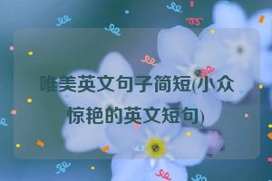 唯美英文句子简短(小众惊艳的英文短句)