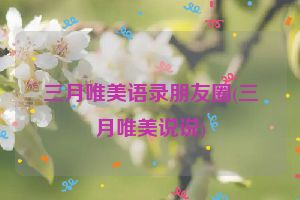 三月唯美语录朋友圈(三月唯美说说)