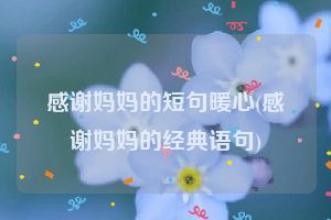 感谢妈妈的短句暖心(感谢妈妈的经典语句)