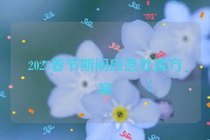 2023春节期间应急处置方案