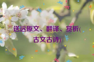 送远原文、翻译、赏析(古文古诗)