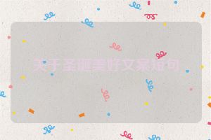 关于圣诞美好文案短句