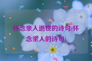 怀念亲人逝世的诗句(怀念亲人的诗句)