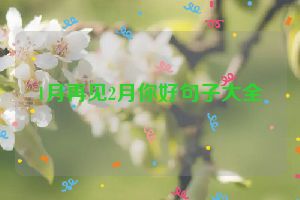 1月再见2月你好句子大全