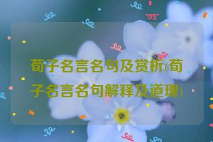 荀子名言名句及赏析(荀子名言名句解释及道理)