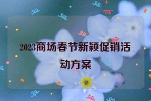 2023商场春节新颖促销活动方案