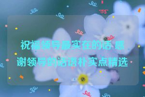 祝福领导最实在的话 感谢领导的话语朴实点精选