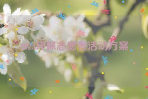 2023环保志愿者活动方案