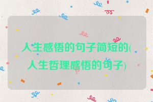 人生感悟的句子简短的(人生哲理感悟的句子)