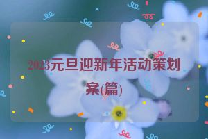 2023元旦迎新年活动策划案(篇)