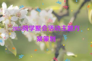 2023同学聚会活动主题方案策划