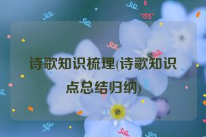 诗歌知识梳理(诗歌知识点总结归纳)