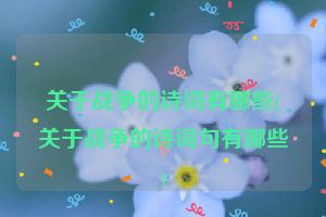 关于战争的诗词有哪些(关于战争的诗词句有哪些)