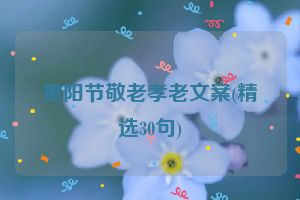 重阳节敬老孝老文案(精选30句)