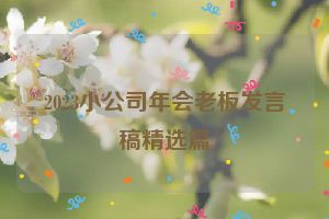 2023小公司年会老板发言稿精选篇